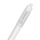Ledvance Tubo LED T5 AC Mains P Mains (AC) High Output 11W 1700lm - 865 Luce Del Giorno | 55cm - Sostitutiva 24W